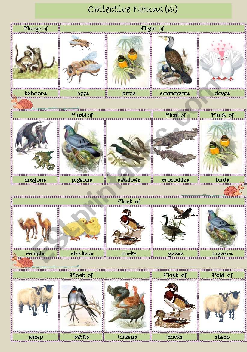Collective Nouns (animals) 6 worksheet