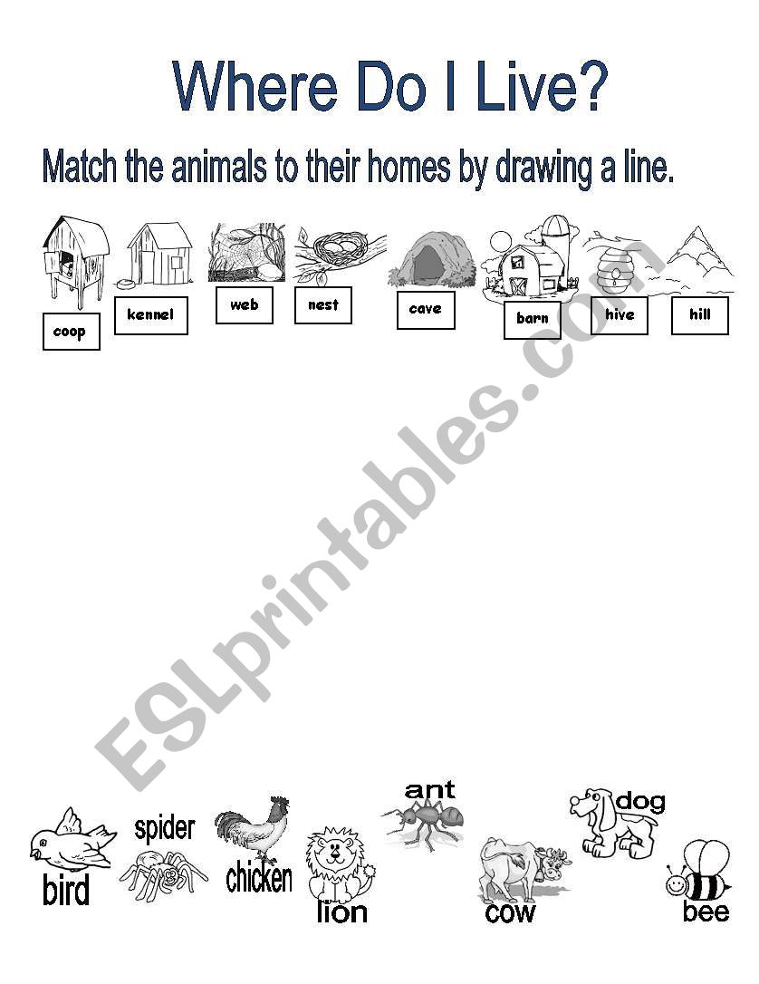 Animal Homes worksheet
