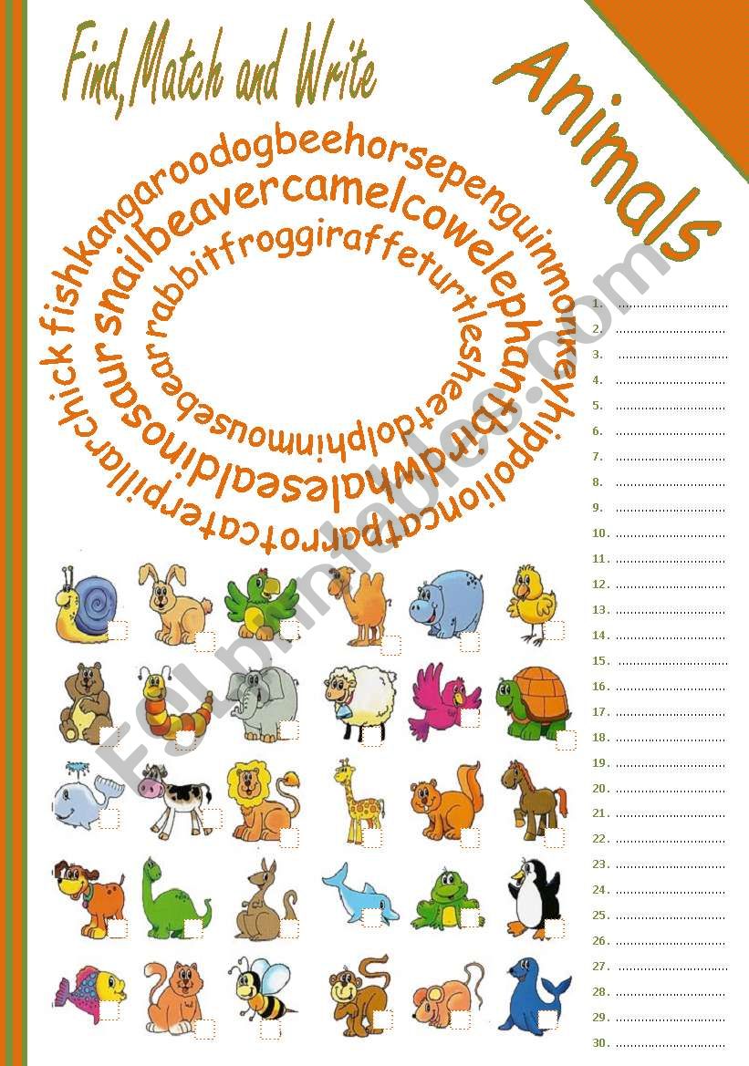 ANIMALS worksheet