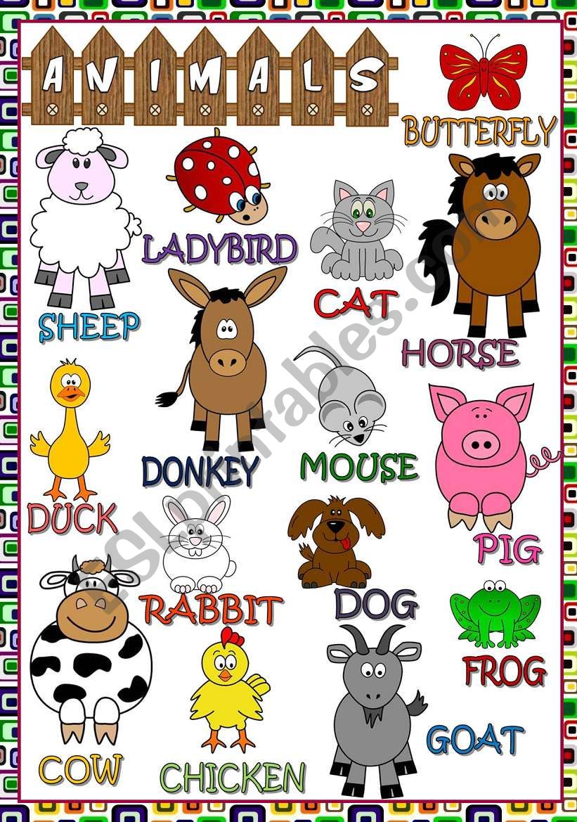 Animals - POSTER worksheet