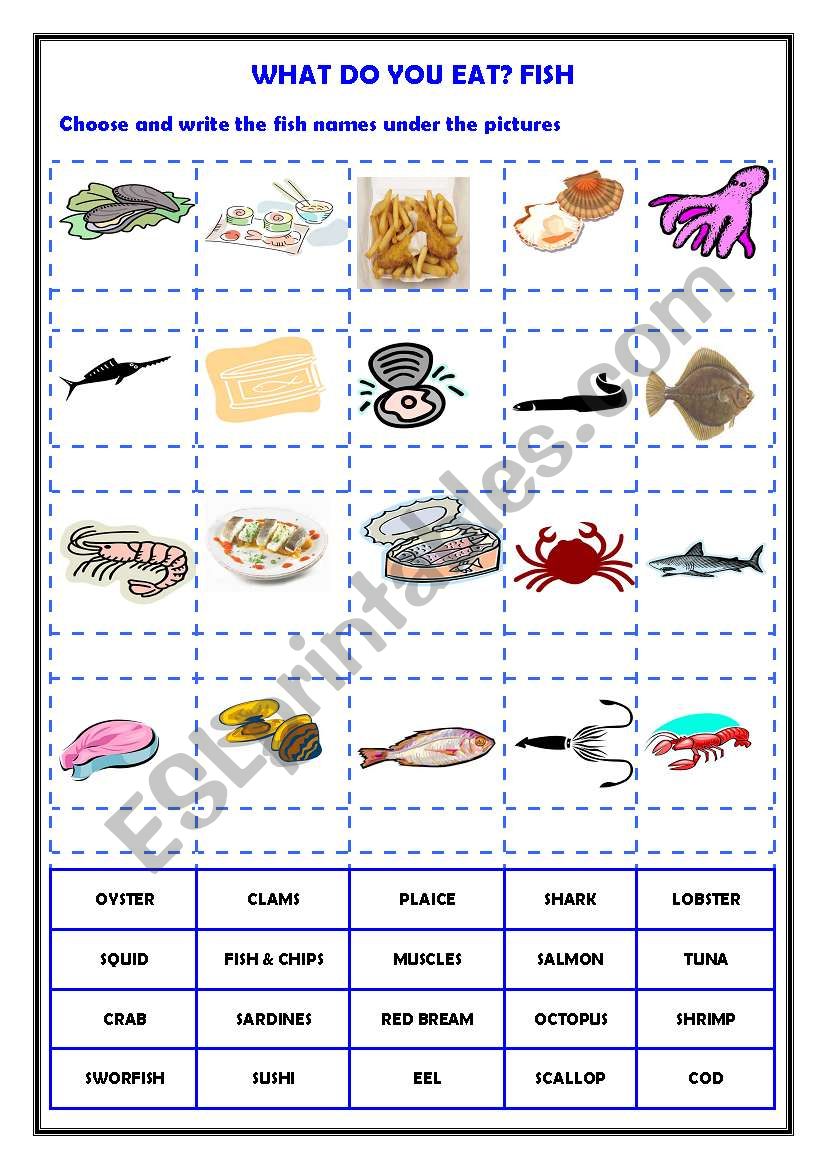 What do you eat? Fish worksheet