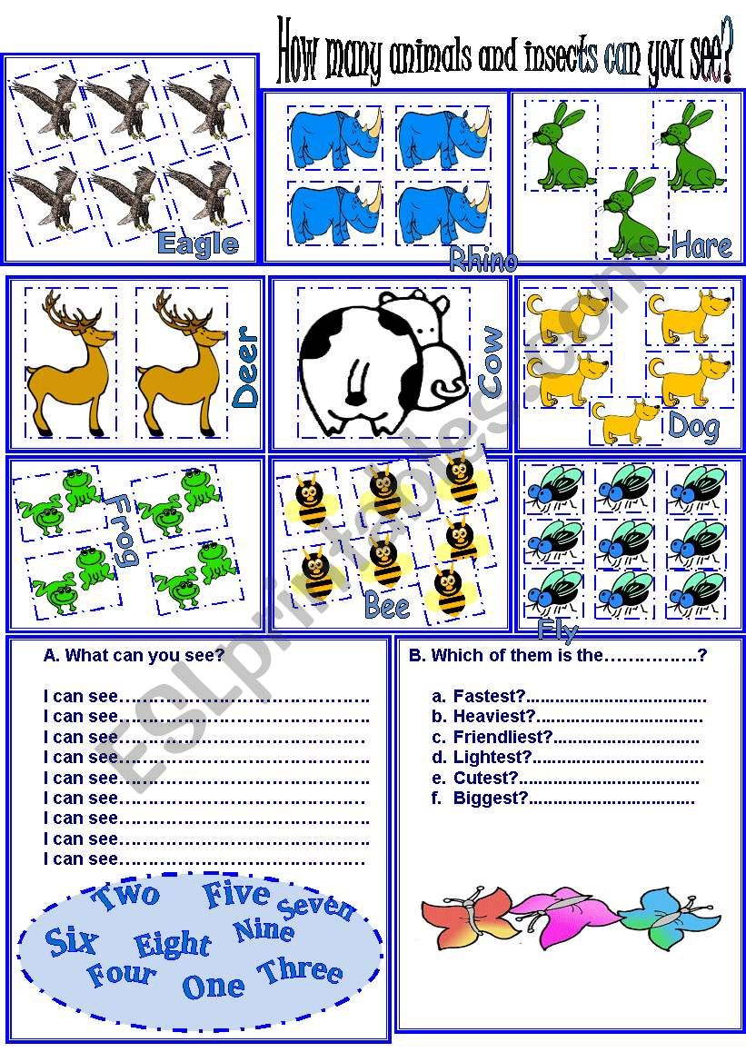 regular-adjectives-worksheets-number-and-color-adjectives-worksheet