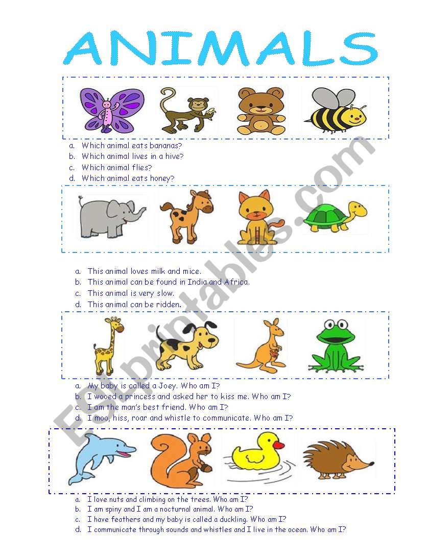 Guess the animal worksheet