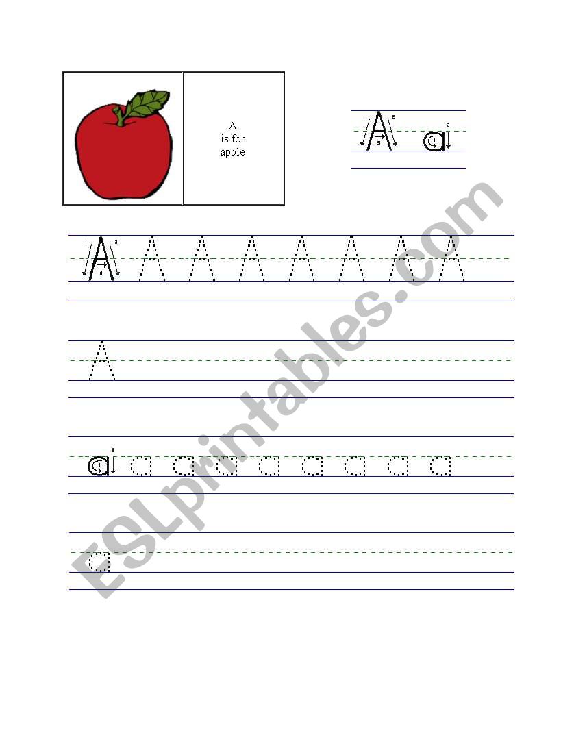 Alphabet  worksheet