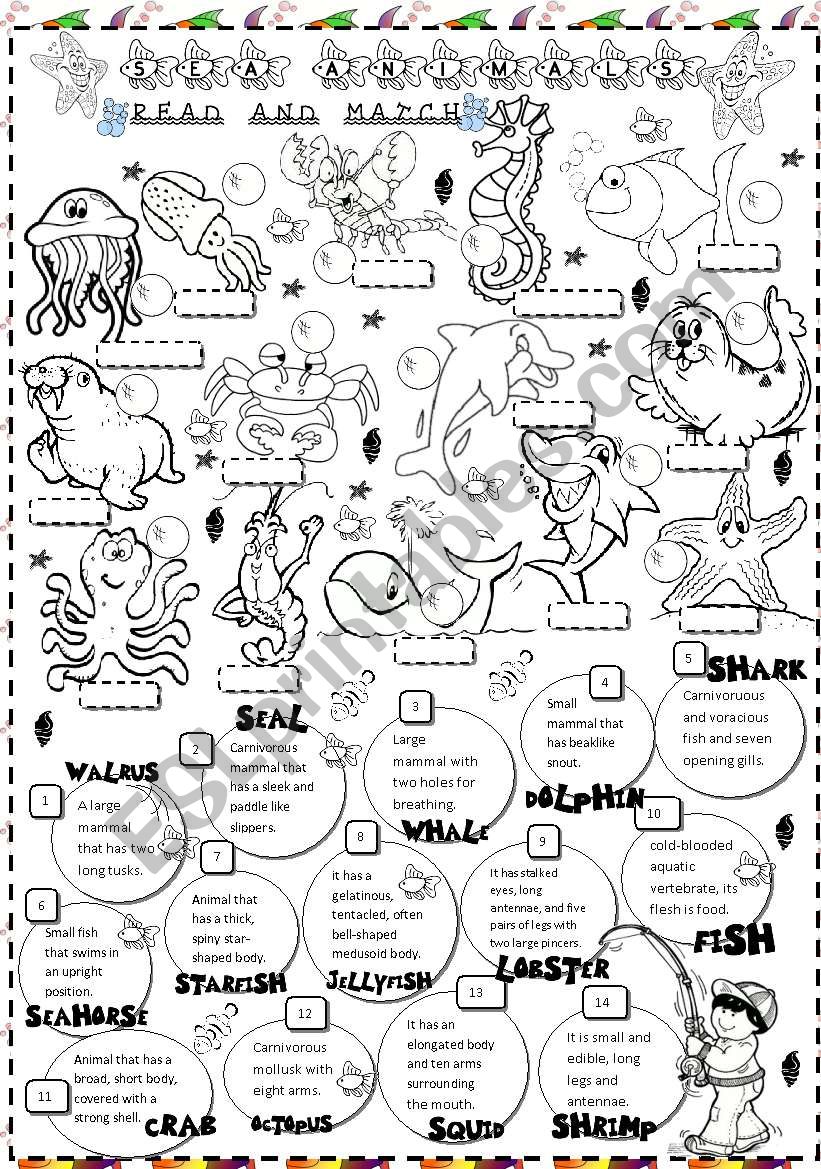 SEA ANIMALS worksheet