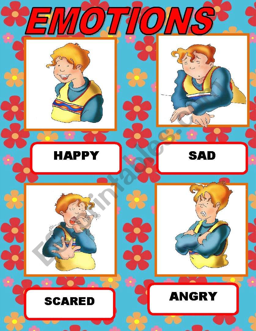 EMOTIONS FLAH CARDS worksheet