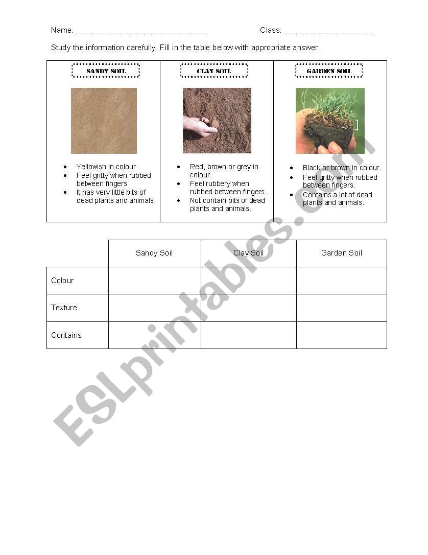 English worksheets Type of Soils