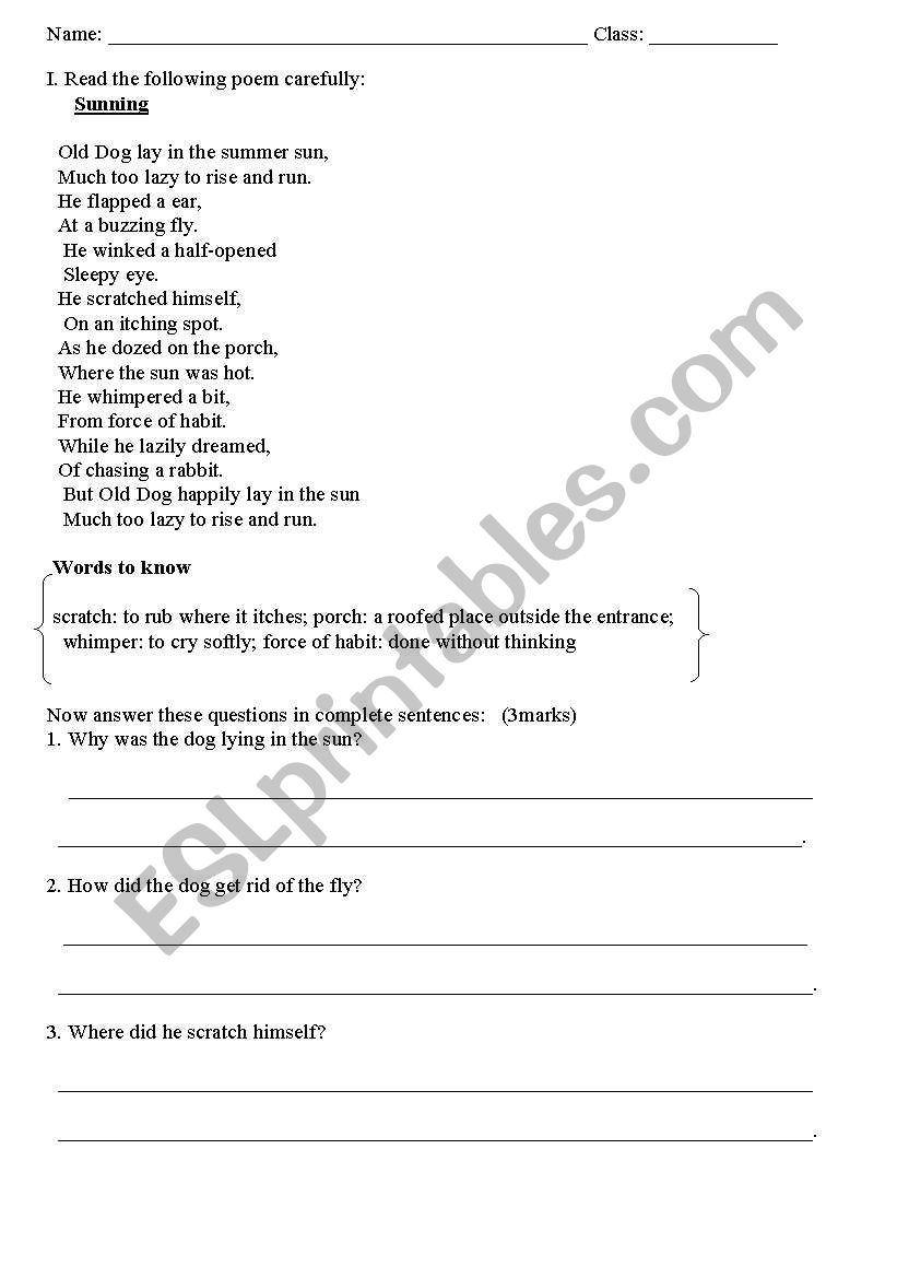 poem comprehension worksheet