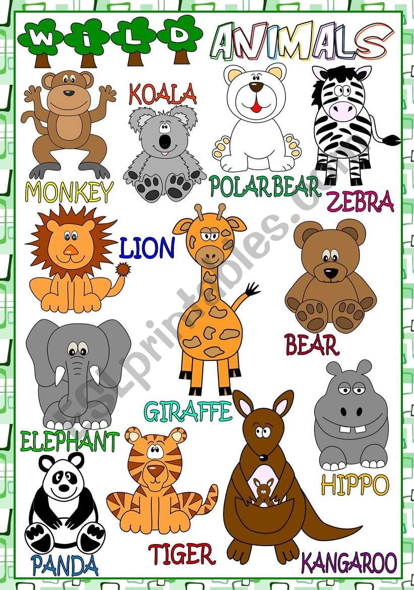 Wild animals - POSTER worksheet