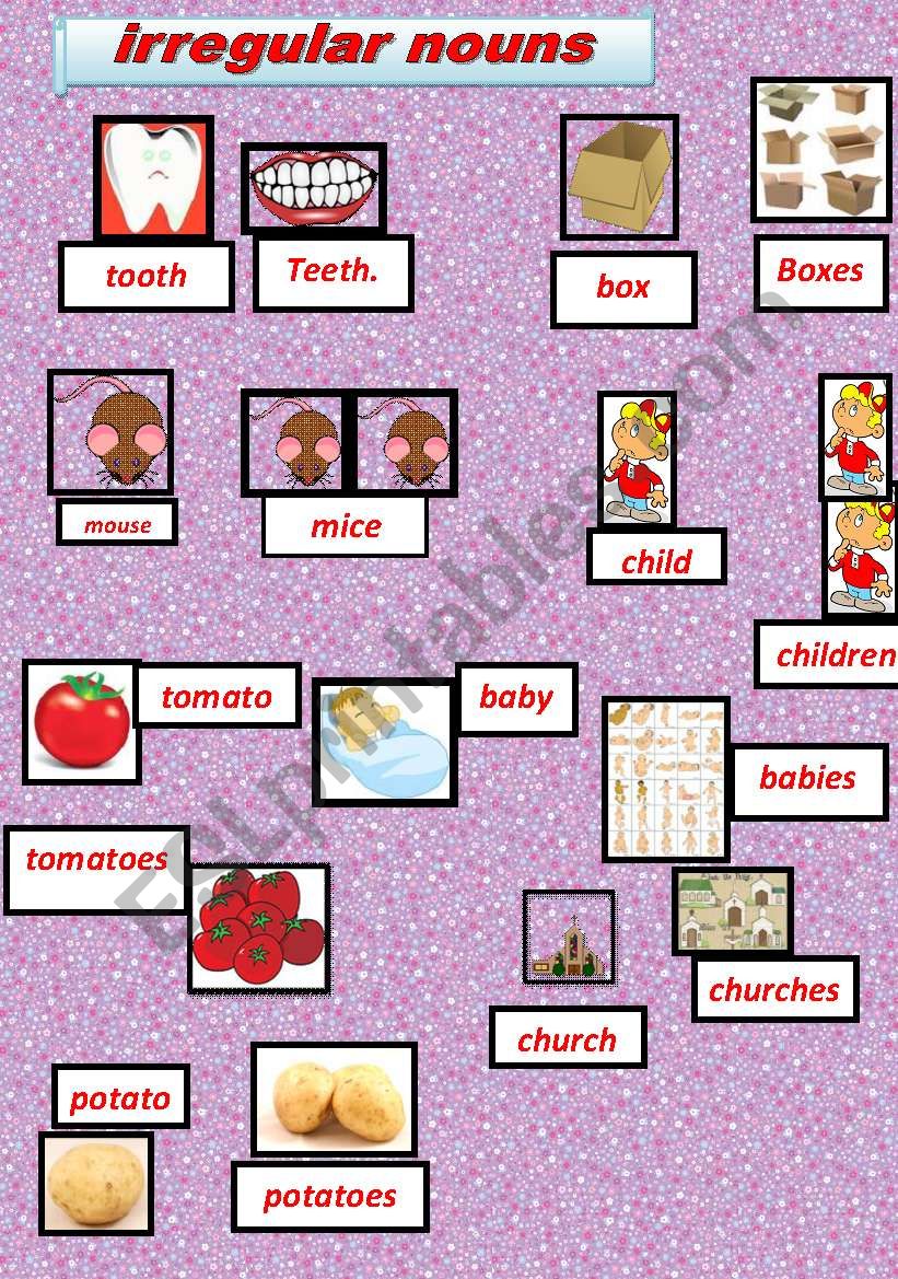 irregular nouns worksheet