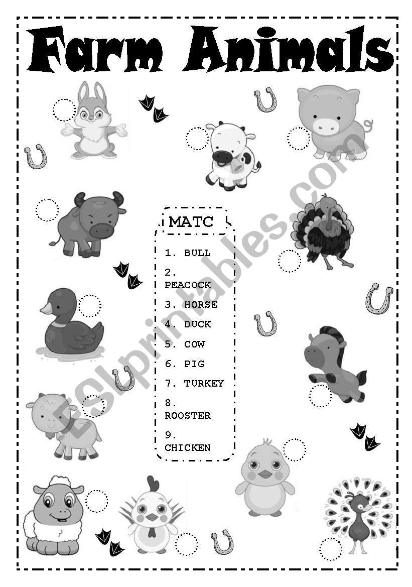 Farm Animals worksheet