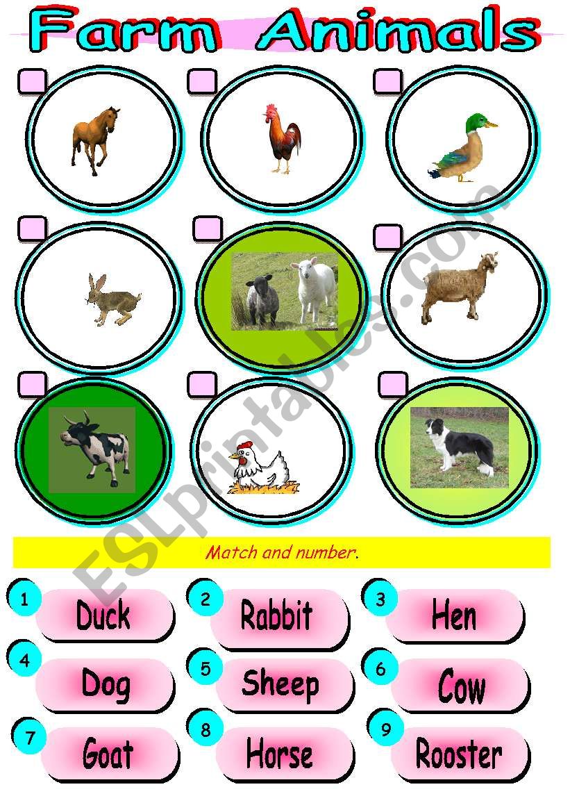 Farm animals worksheet