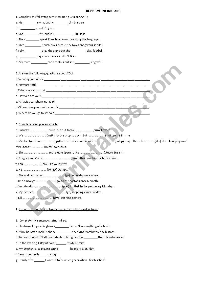 revision worksheet worksheet