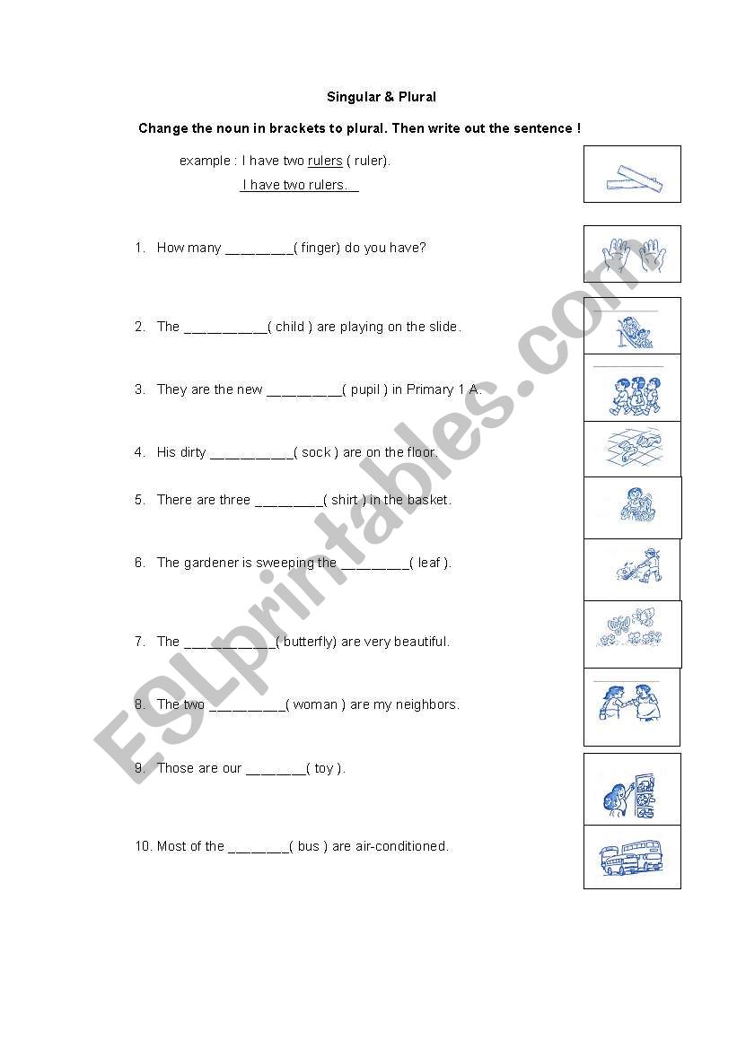 Singular & Plural worksheet