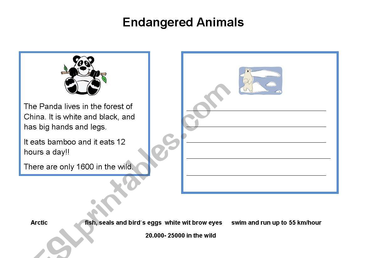 endangered animals worksheet