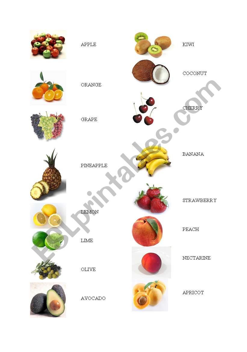 Fruit Vocabulary worksheet