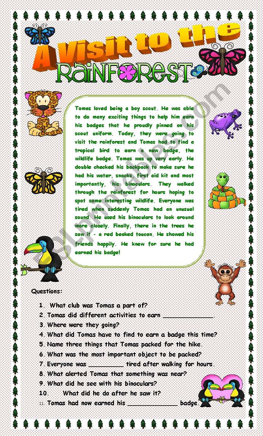 Comprehension - A Visit to the Rainforest