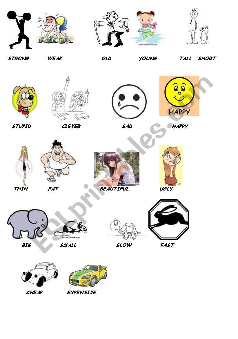 Opposite Adjectives worksheet