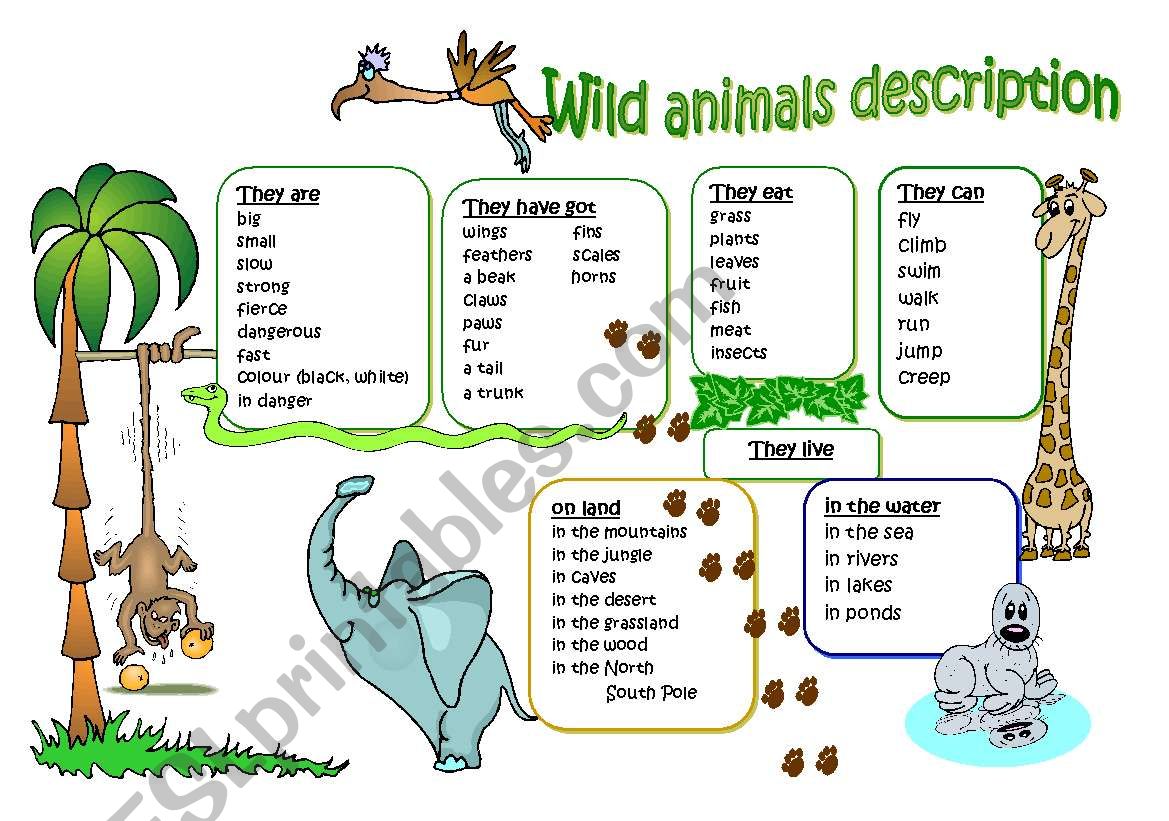 Wild animal description worksheet