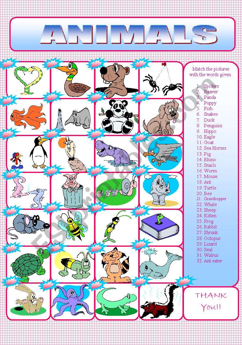 animals worksheet