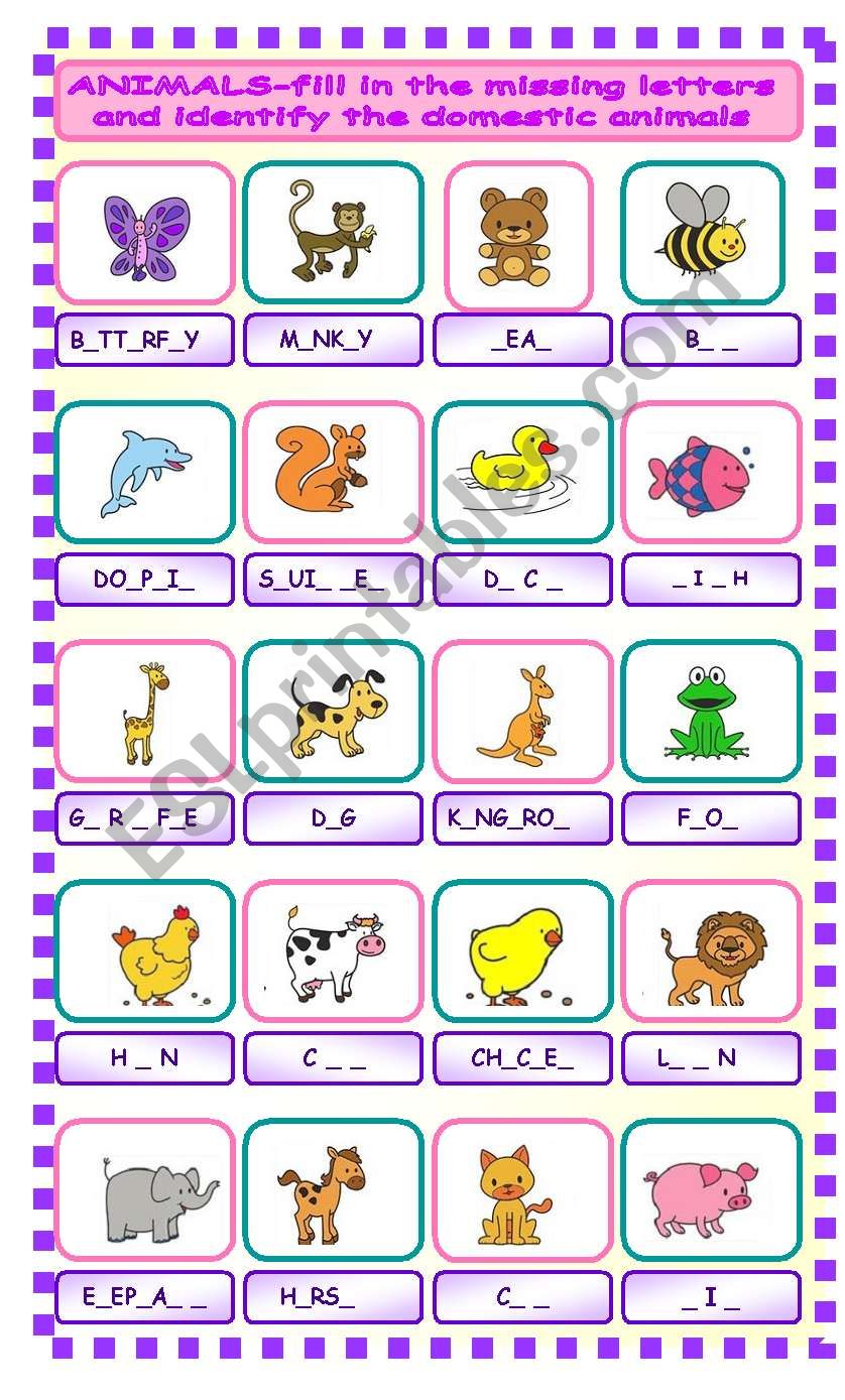 Animals worksheet