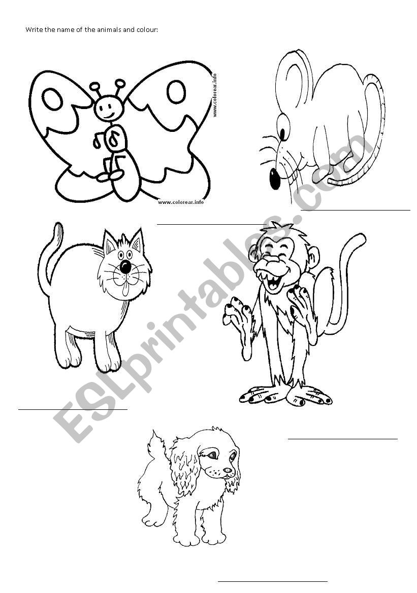 basic animals worksheet