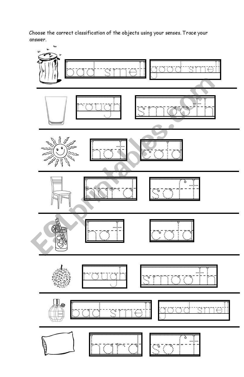 Uses of Senses worksheet