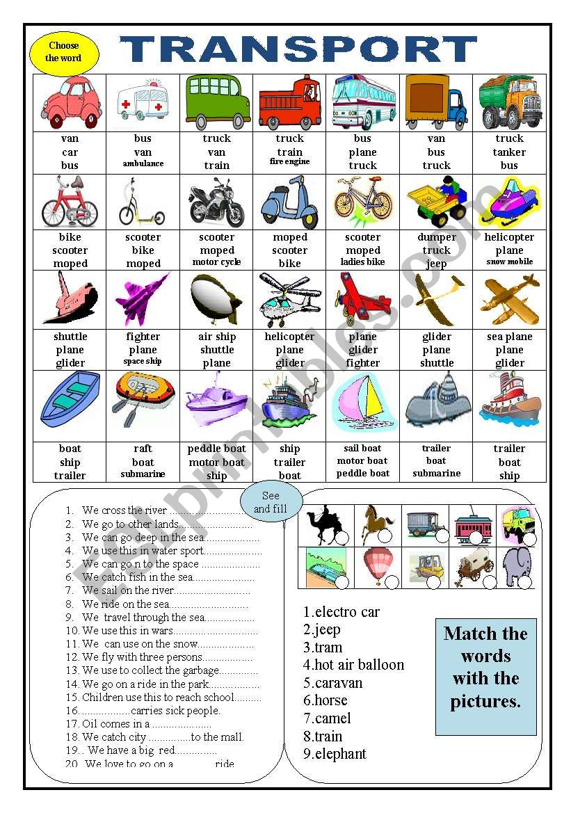 TRANSPORT worksheet