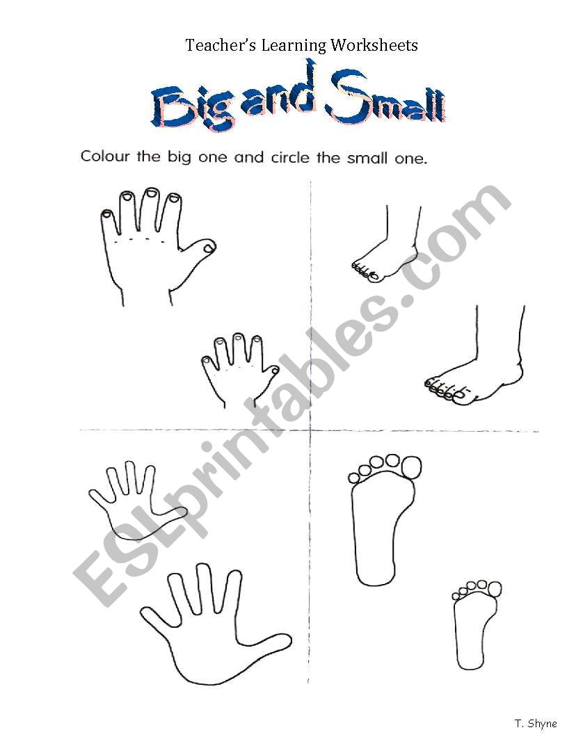 Big and small worksheet