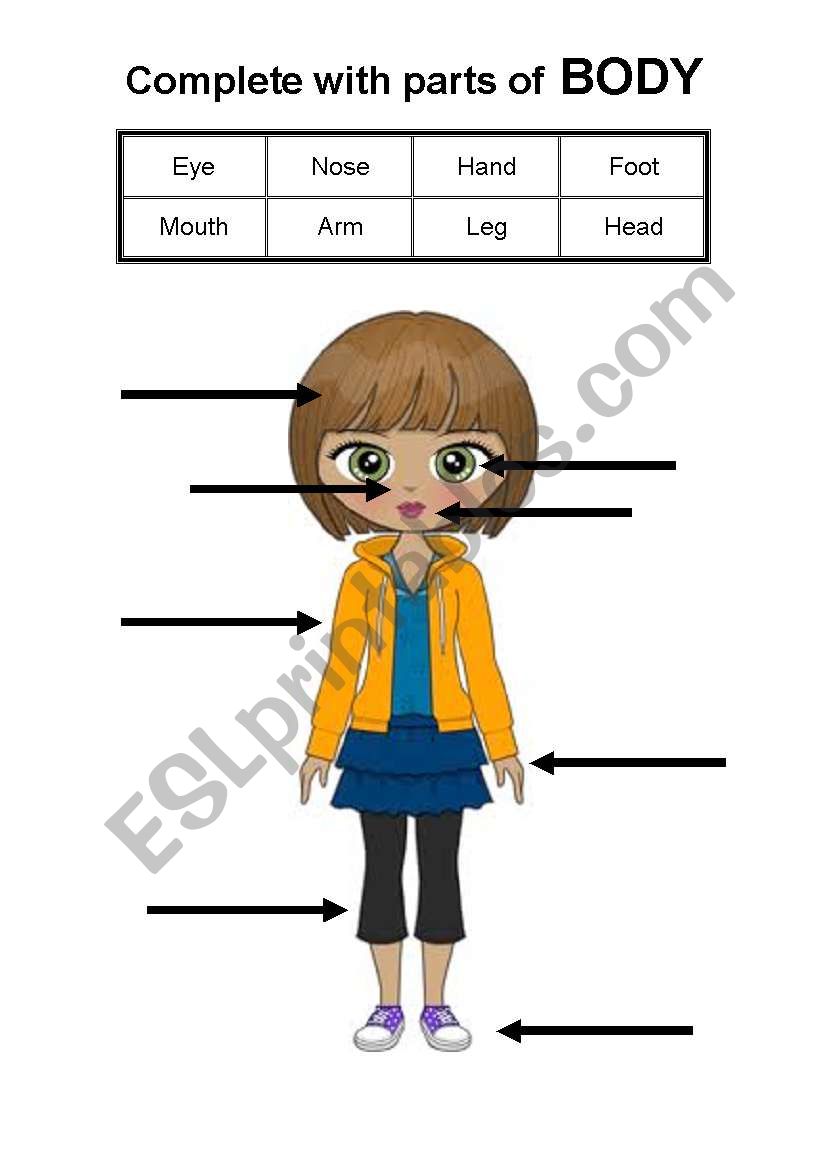 Parts of body worksheet