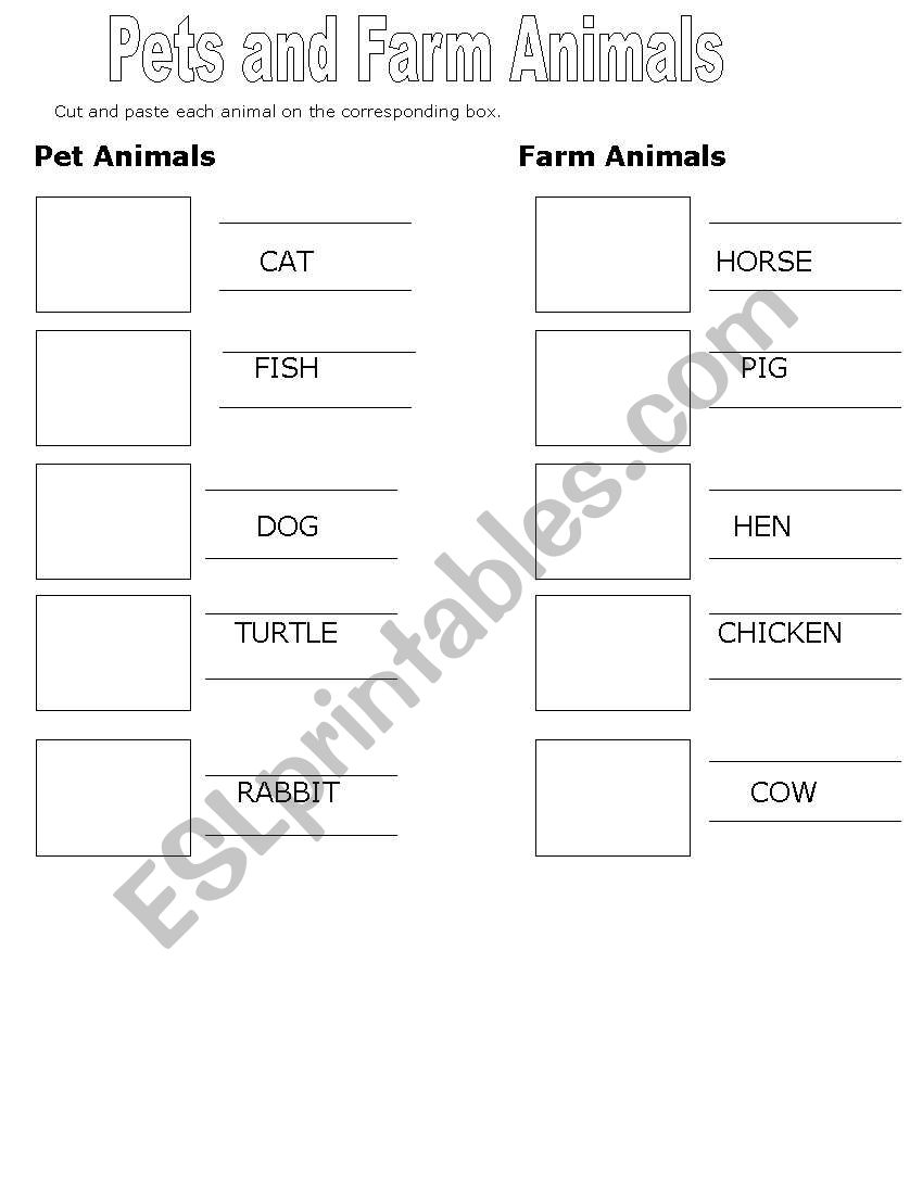 ANIMALS worksheet