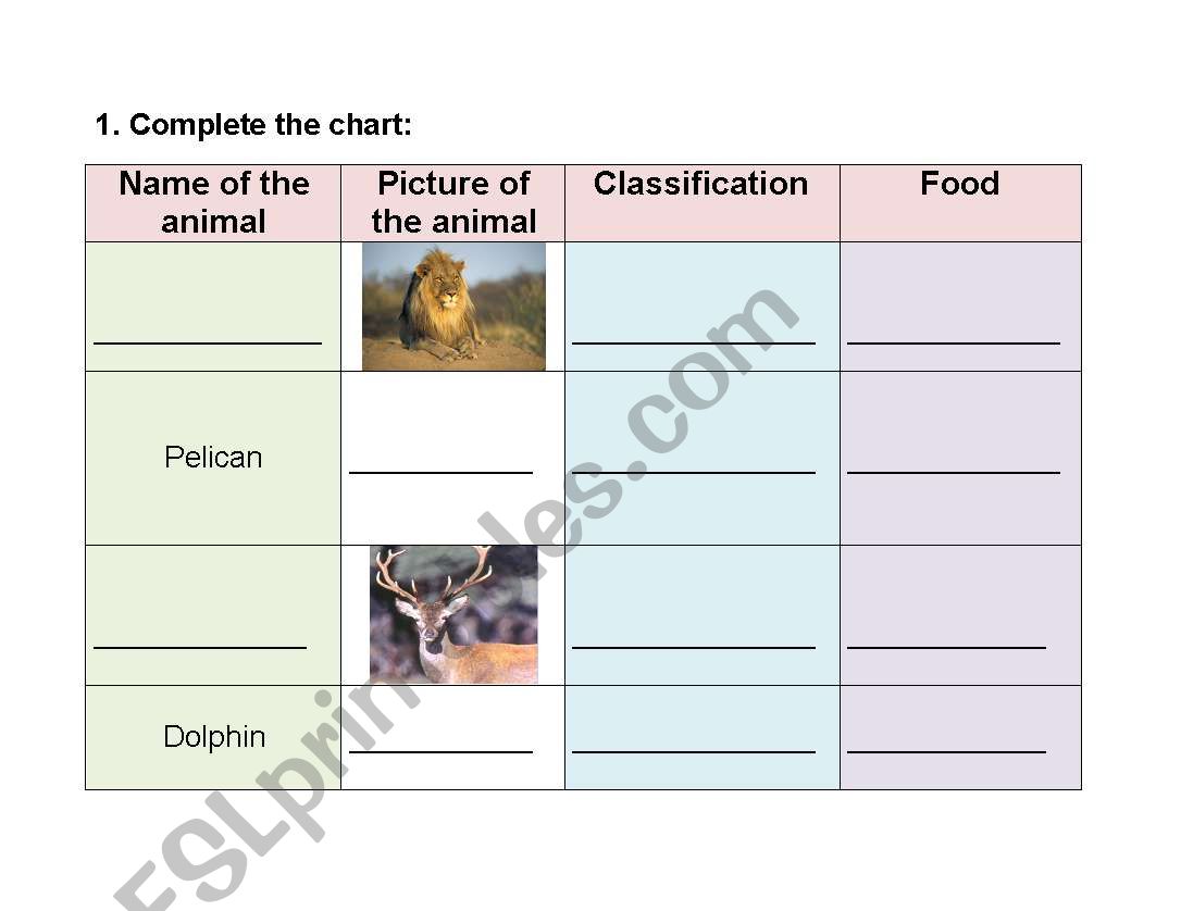 Animals and food worksheet