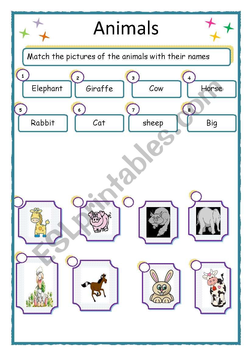 animals worksheet