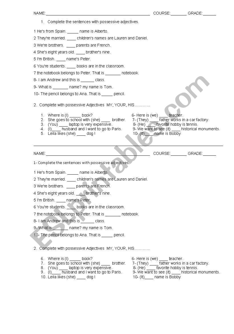 possessive adjectives worksheet