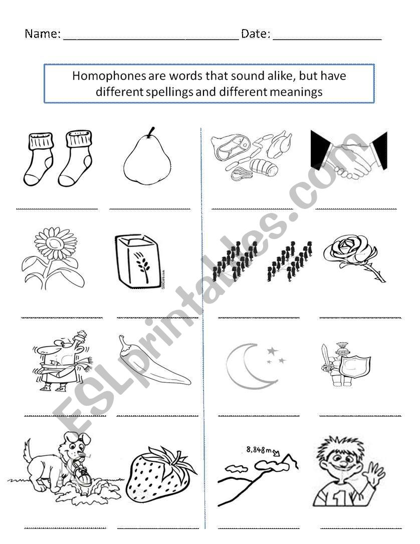 Homophones worksheet