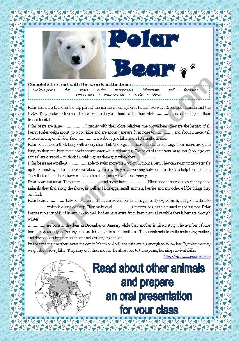 The Polar Bear worksheet