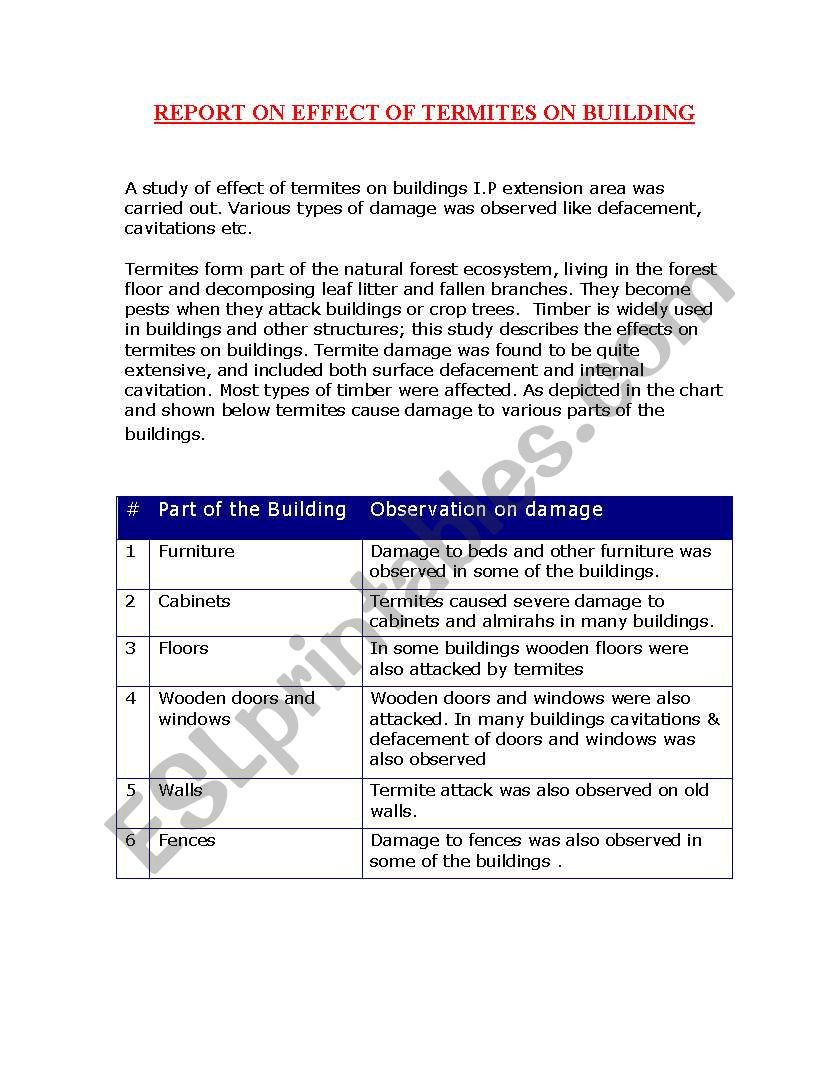 Effect of Termites - Project Report
