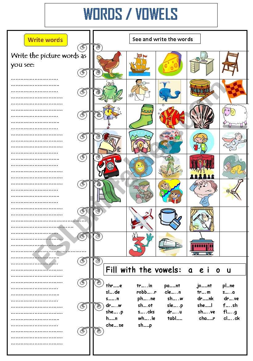 WORDS (Review ) worksheet