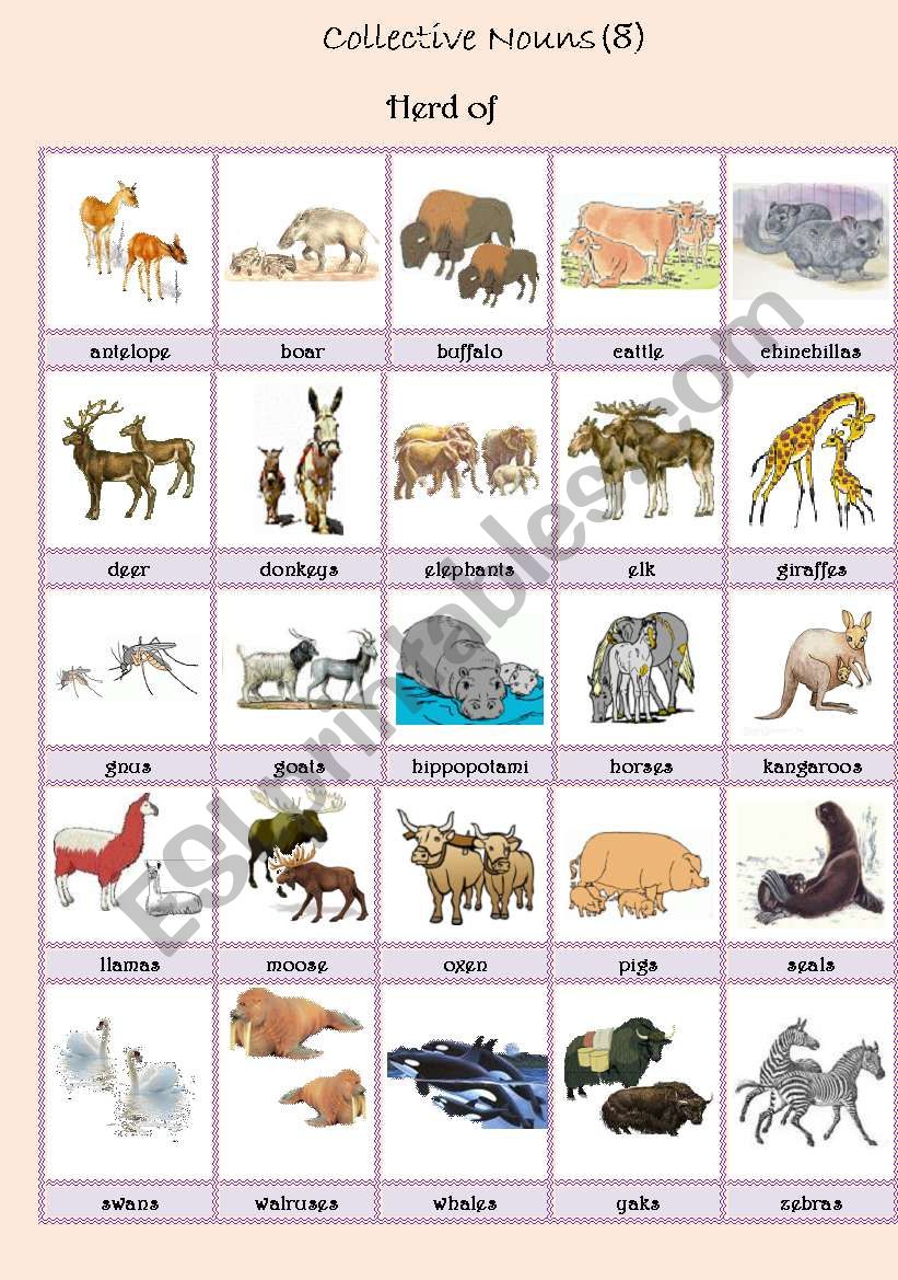Collective Nouns For Animals Collective Nouns Of Animals English ESL Worksheets For