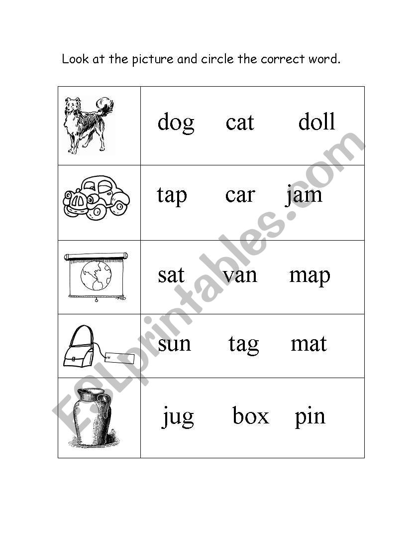 Pick the correct word worksheet