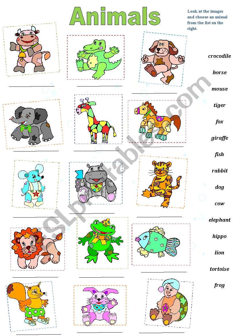 Animals worksheet