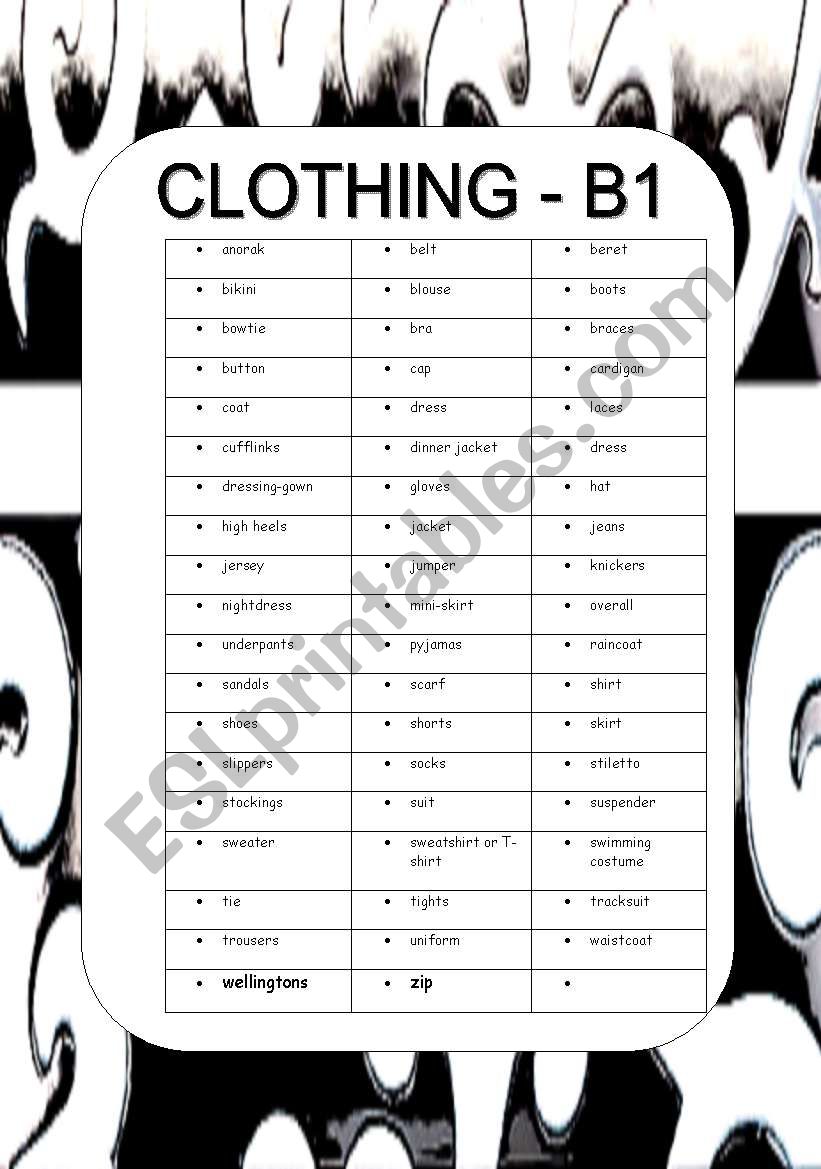CLOTHING B1 worksheet