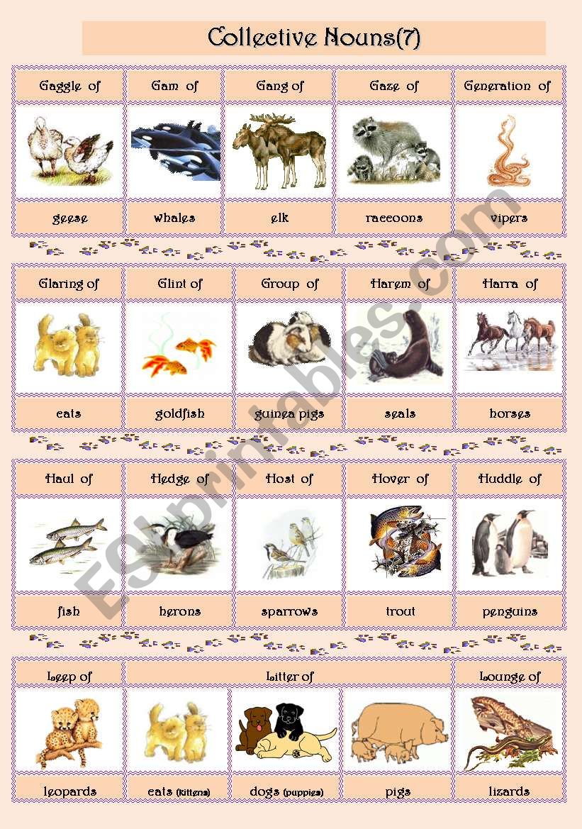 Collective Nouns (animals) 7 worksheet