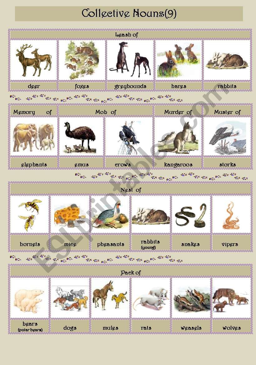 Collective Nouns (animals) 9 ESL worksheet by smiya