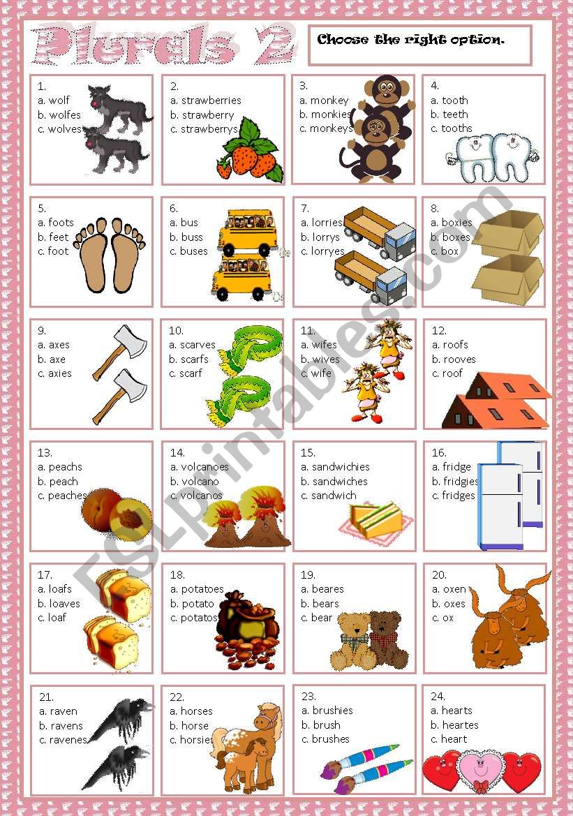 PLURALS - MULTIPLE CHOICE 2 worksheet