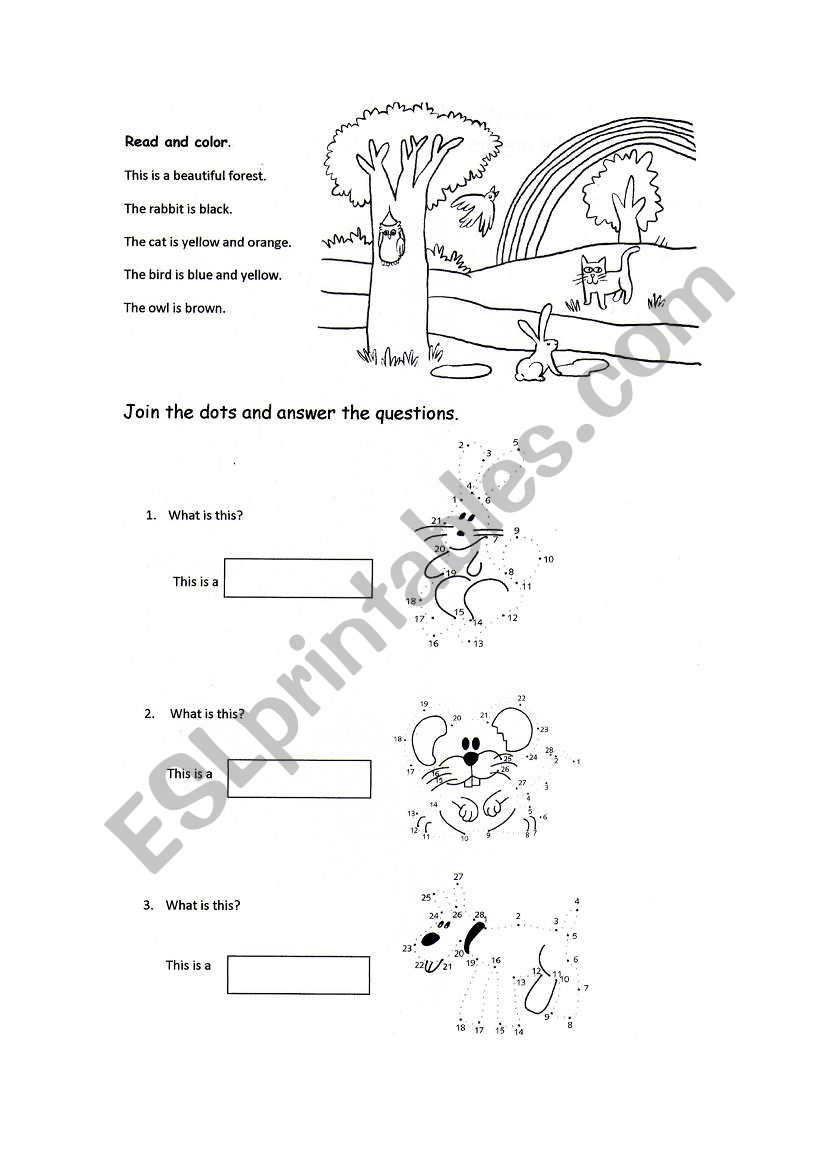 Animal review worksheet