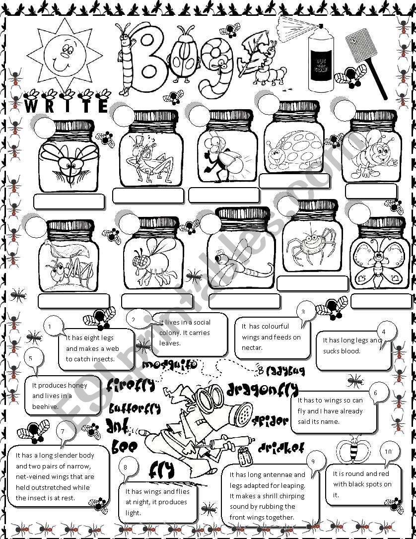 BUGS worksheet