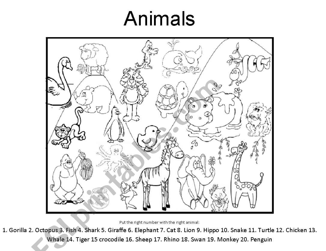 Animals worksheet