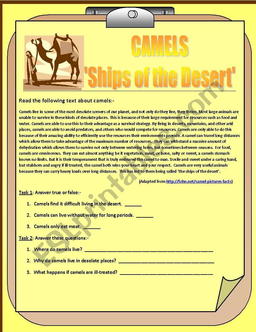 Desert Reading Comprehension Worksheet