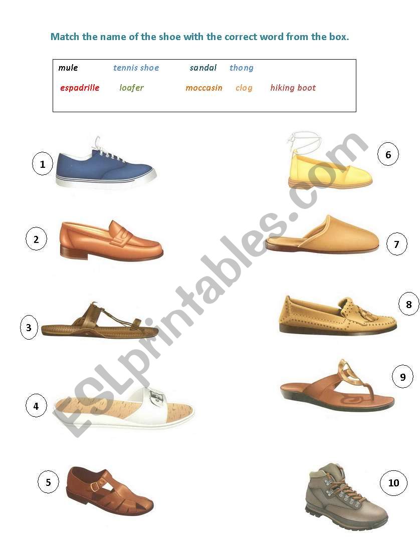 shoes worksheet